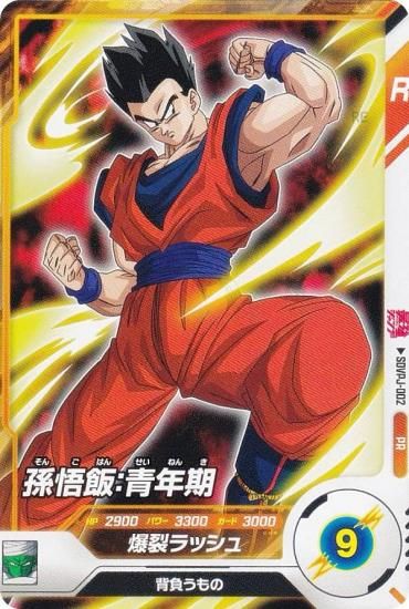PSA10 POP1 ドラゴンボールデータカードダス 激怒 プロモ 鳥山明孫悟空