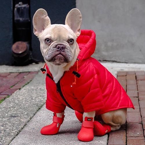 WAGWEAR - WAGWELLIES BY WAGWEAR / ピンク