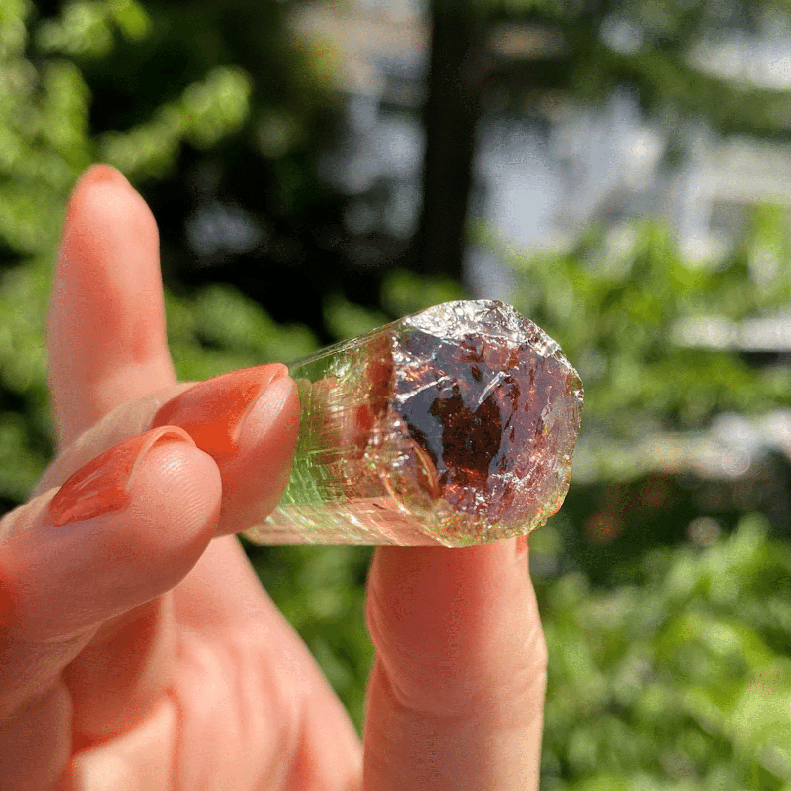 G*G様 『バイカラー』 トルマリン 原石 鉱物標本 天然石 706 G*G様