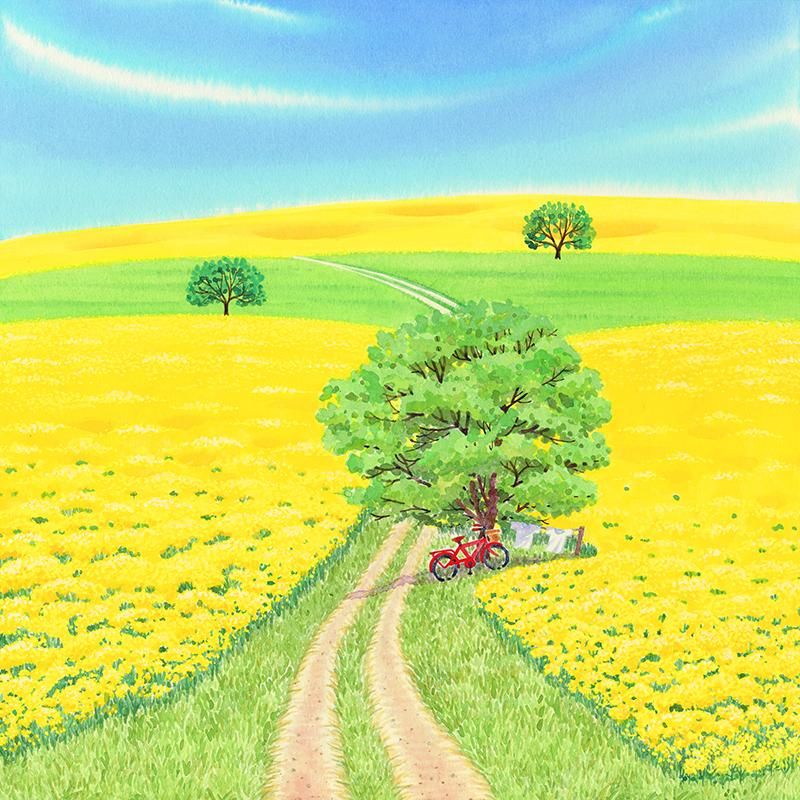 栗乃木ハルミ「菜の花の丘3」 - 栗乃木ハルミ（くりのきはるみ）公式