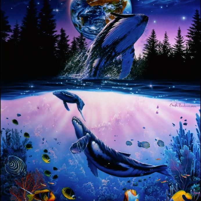 クリスチャンラッセン ニューホープII