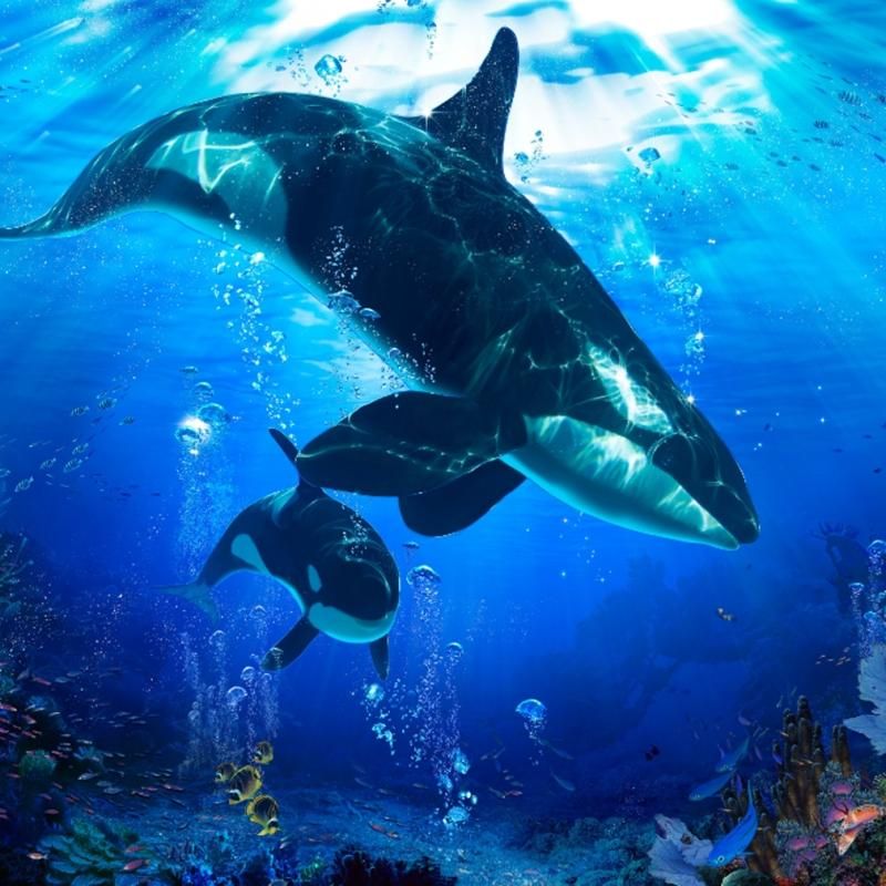 ラッセンミスティカルライフオブシー（S)