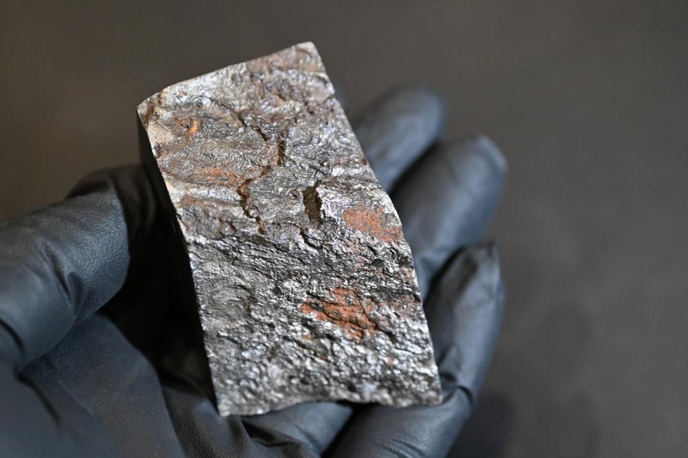 ドロニノ隕石(Dronino meteorite)