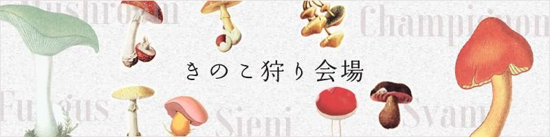 フランス ビンテージ 毒キノコ模型 アンティーク 理科系 フランス