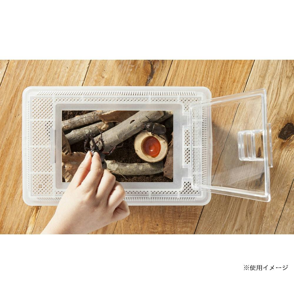 温室・飼育ケース TK904530 飼育ケース - 株式会社ミタニ