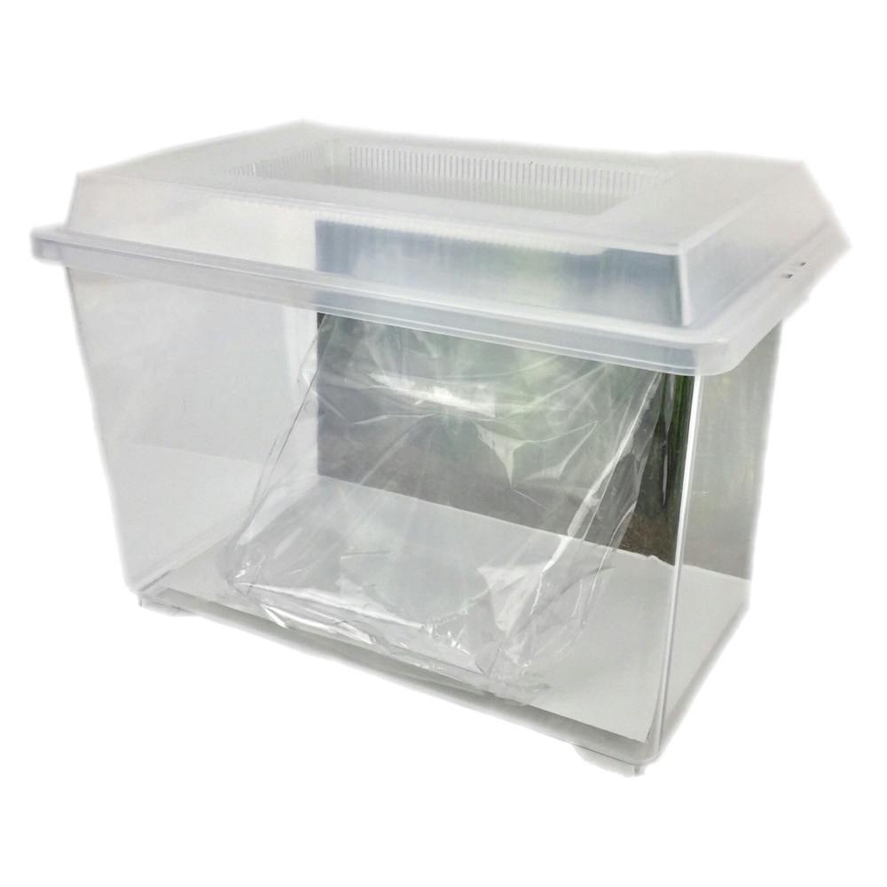 Pet'sOne においがしにくい 飼育ケース 中 7L | 昆虫用品・昆虫グッズ