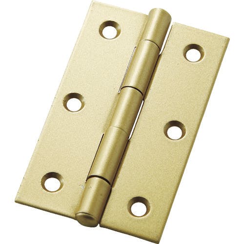 CAINZ-DASH】フジテック・ジャパン カラー丁番 袋入り（2枚）・厚口