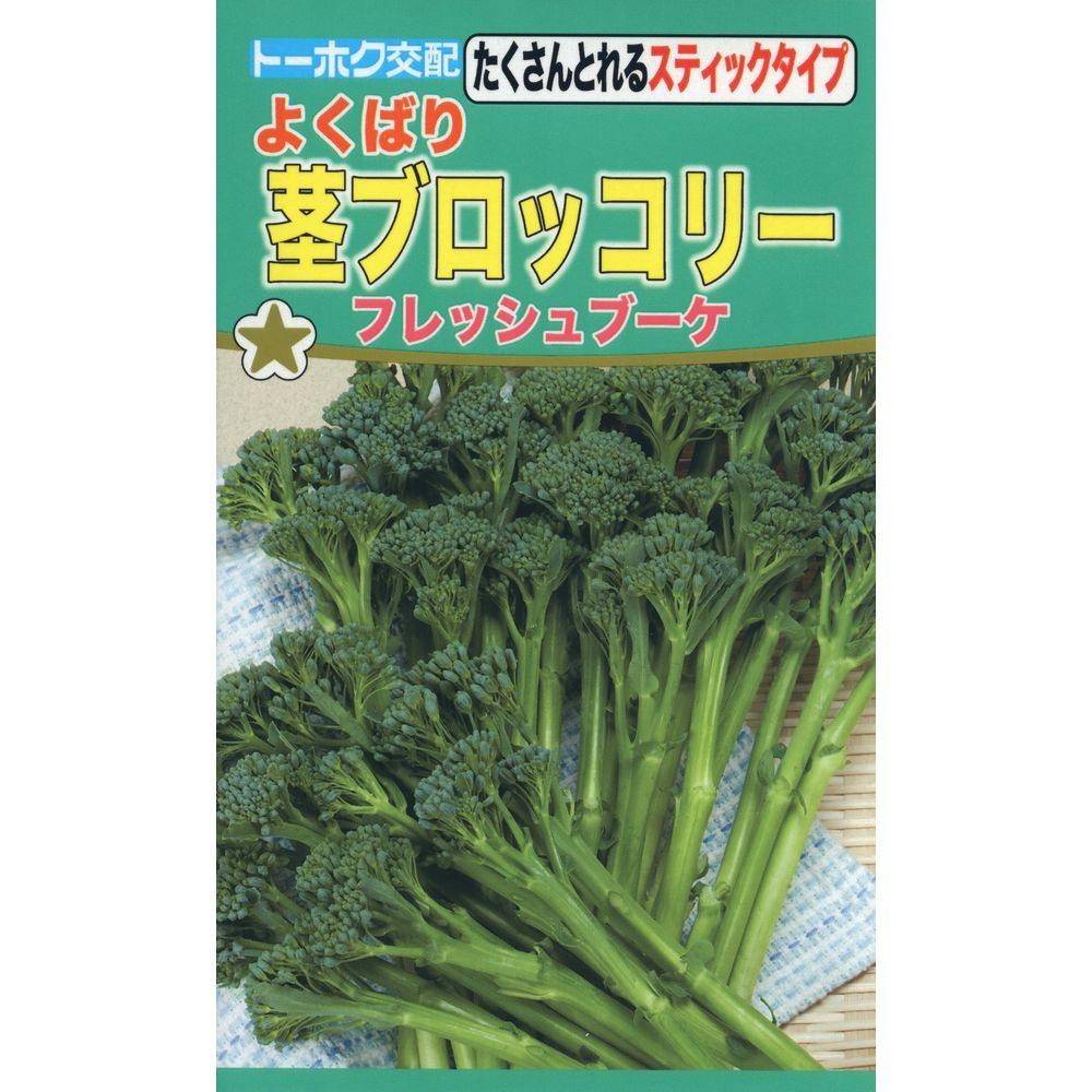 F1 よくばり茎ブロッコリー フレッシュブーケ | 花＆グリーン 通販