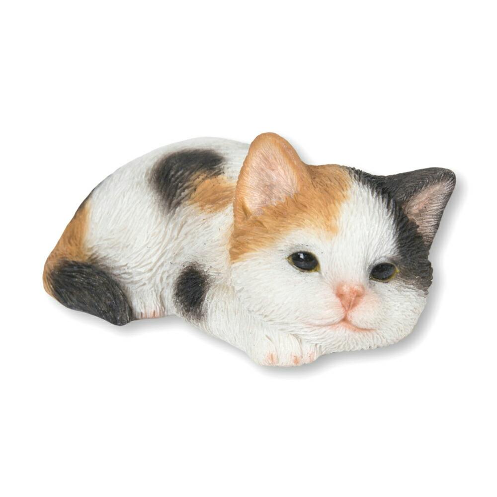 臆病猫 リバティガウチョ 臆病猫 リバティガウチョ 臆病猫 リバティ