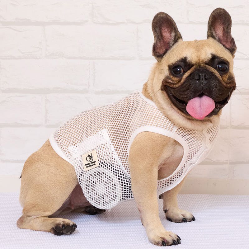 犬服 SS わんこの普段着 フラワーアンジェ 犬服 L わんこの普段着