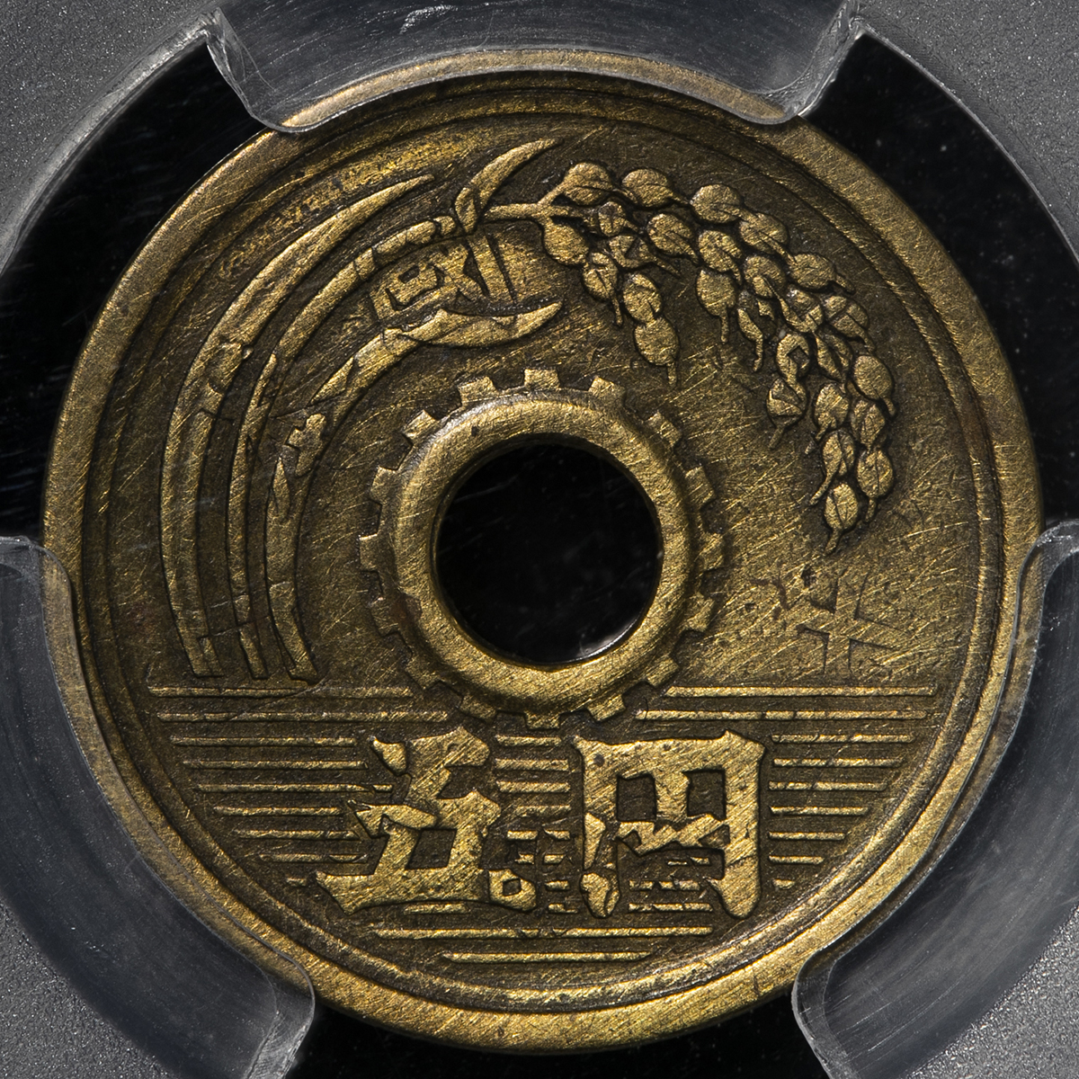 貨幣博物館 | 日本 五円黄銅貨（楷書体） Kaisho Lettered 5Yen 昭和26