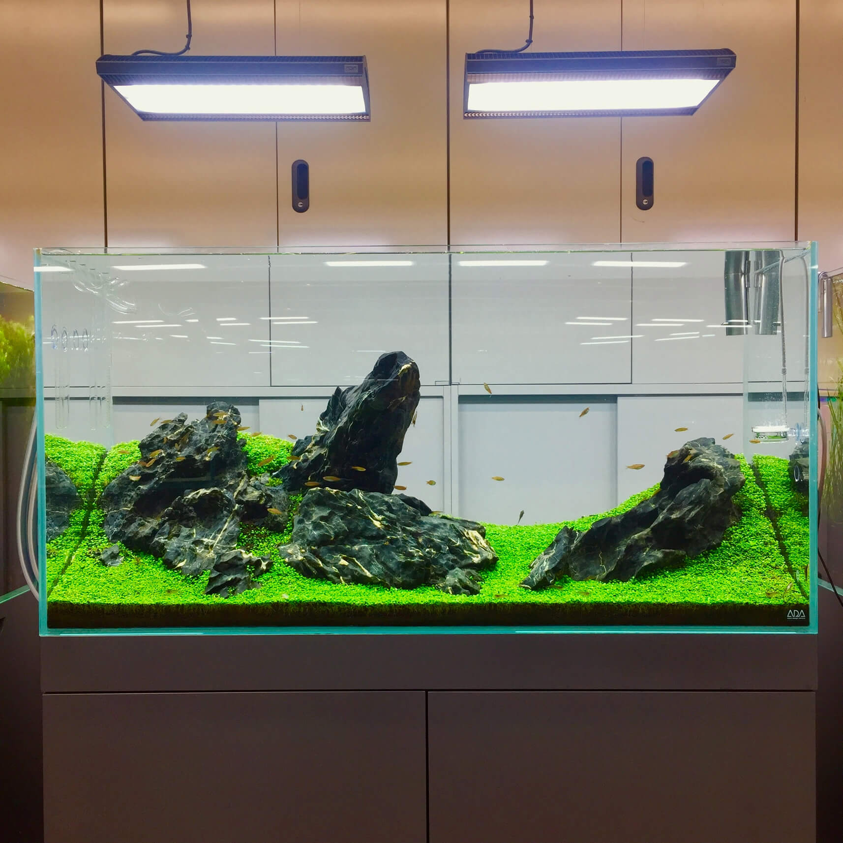 万天石 アクアリウム ADA 石組レイアウト 水草水槽 水槽レイアウト