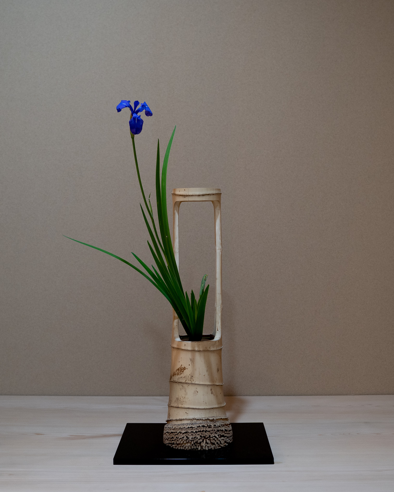 池坊 草月 華道 竹花器 竹二重切り 根付き 二重切(根付) |