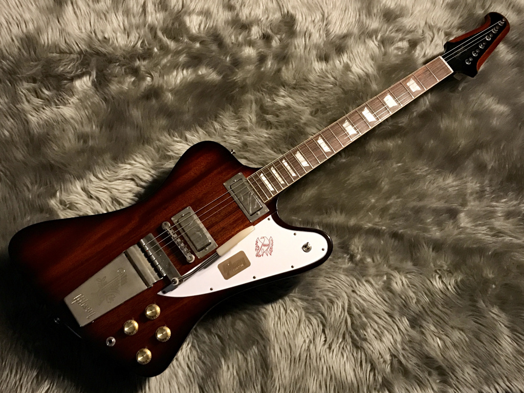 エレキギター】レスポールカスタム、ファイヤーバード緊急入荷！｜島村