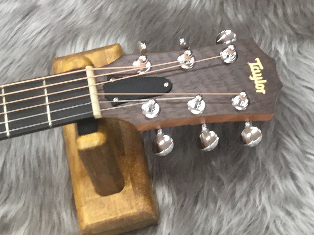 入荷情報】Taylor – GS-Mini-e-Walnut｜島村楽器 イオンモール筑紫野店