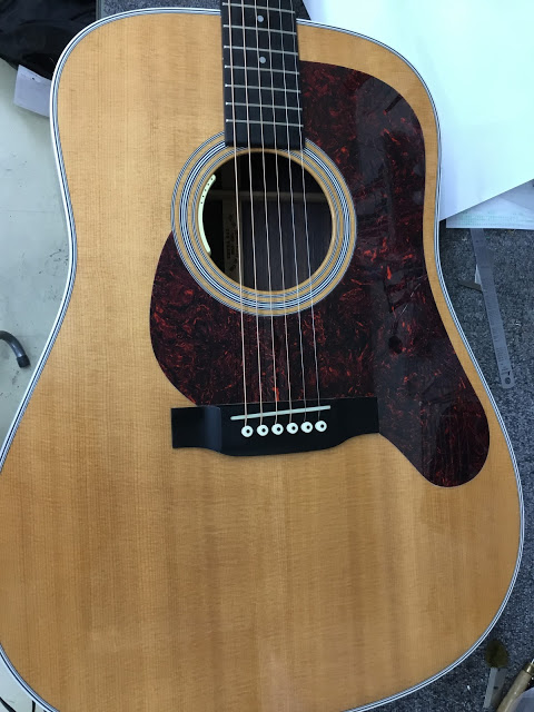 希少 レスターフラット タイプ ピックガード セルロイド ミスチル 桜井