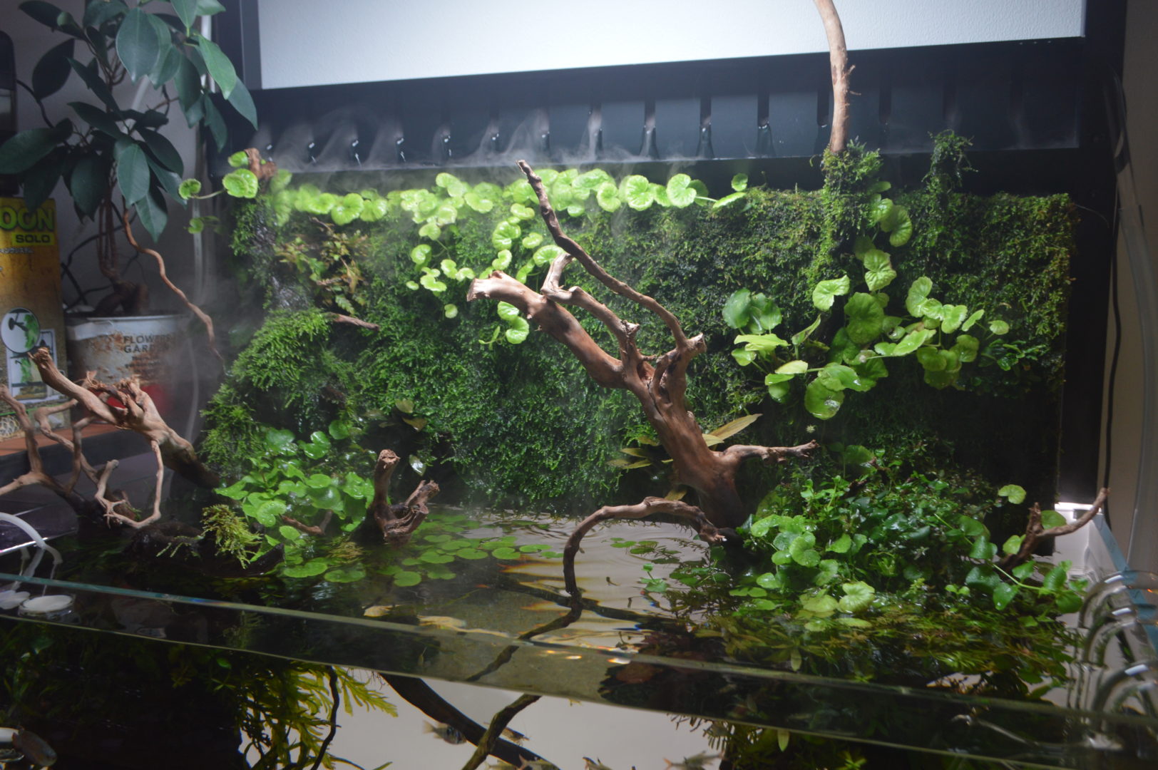 DOOA 水草ミストウォール 60 DOOA 水草ミストウォール 60 ADA DOOA