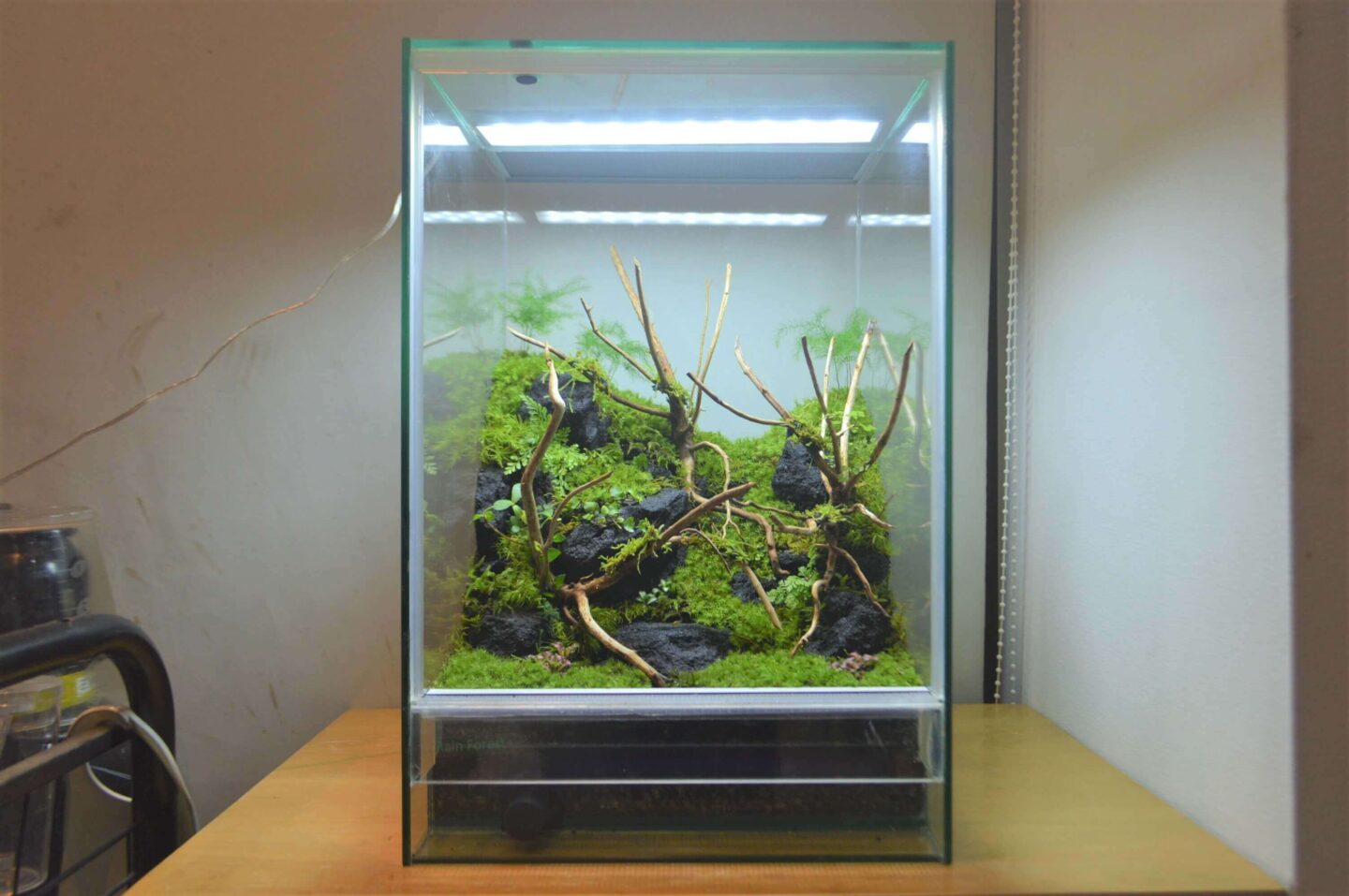 パルダリウム・テラリウム水槽W600×D300×H450 パルダリウム