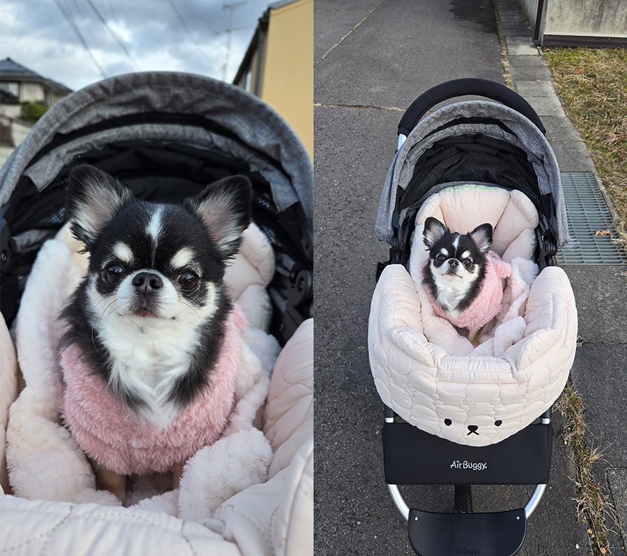 エアバギーペット ドーム3 (口コミ・レビュー) | 犬グッズ 通販