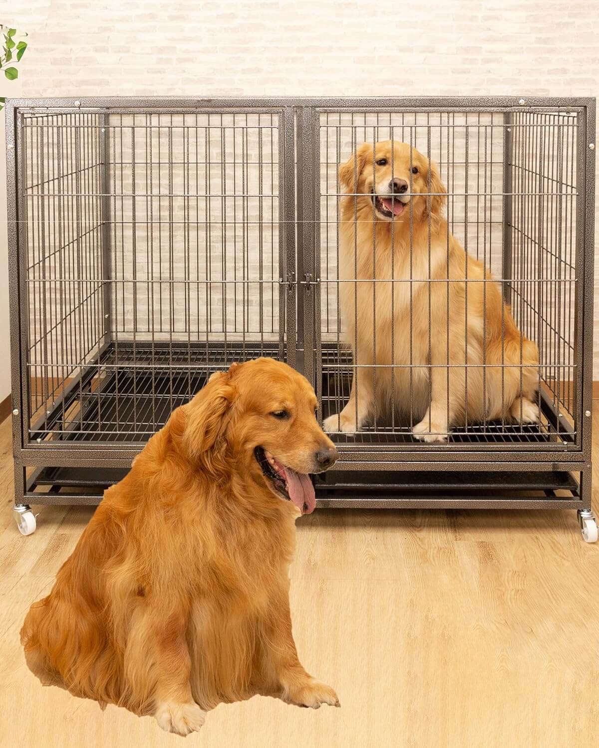 新品スチーム製組立簡単大型ペットサークル 高さ120cm 超大型犬用
