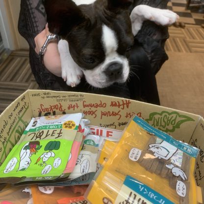 DIY犬御殿 DIY犬御殿