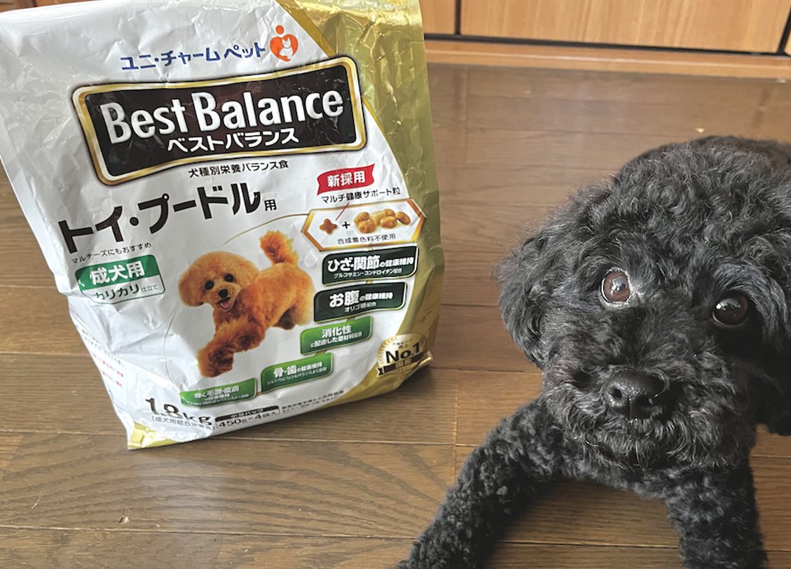 ELMO ダックとポテト 5.4㌔ ELMO（ペットフード） ELMO エルモ