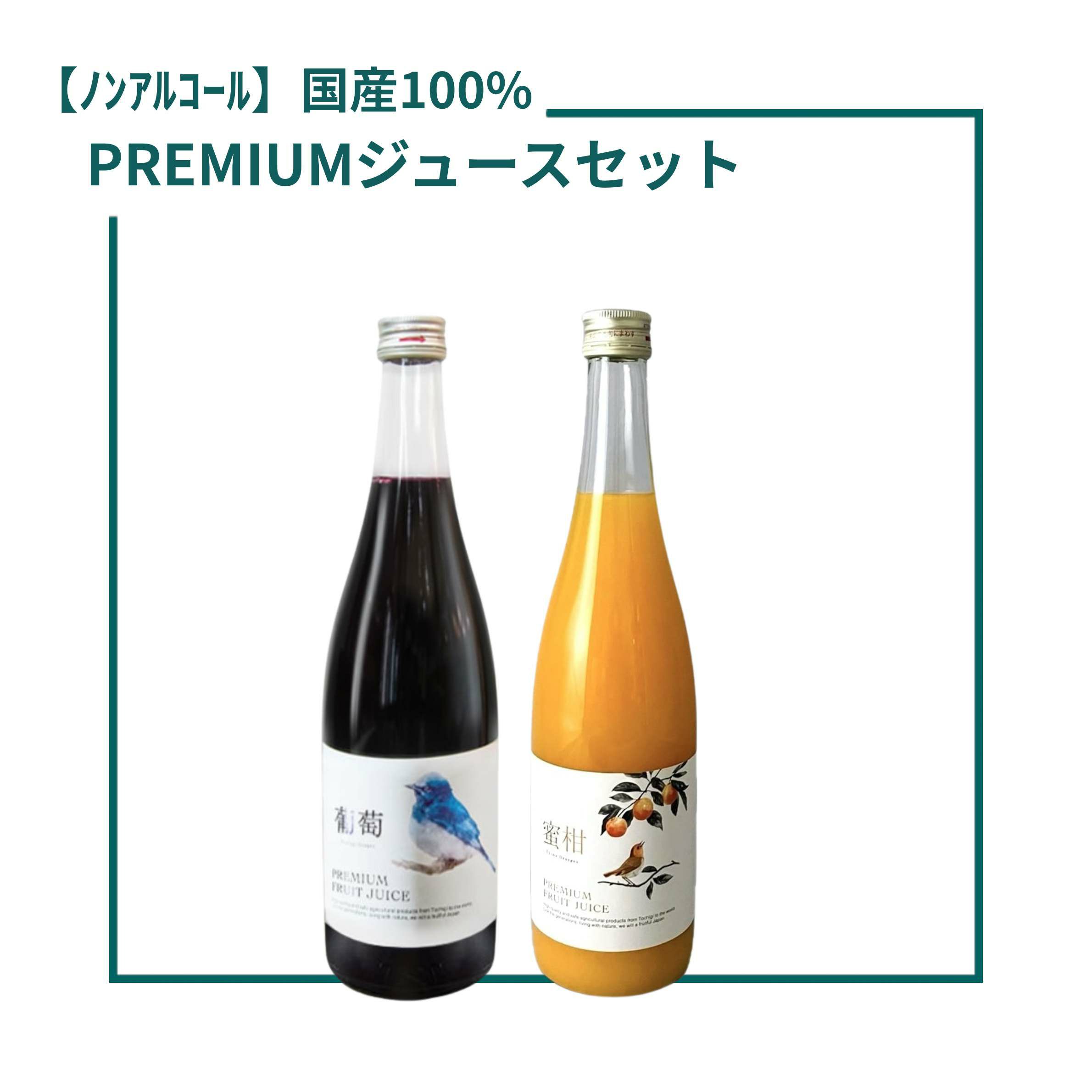 天吹（あまぶき） 梅酒【龍王】大吟醸仕込 500ml | INUISAKE-TEN ONLINE