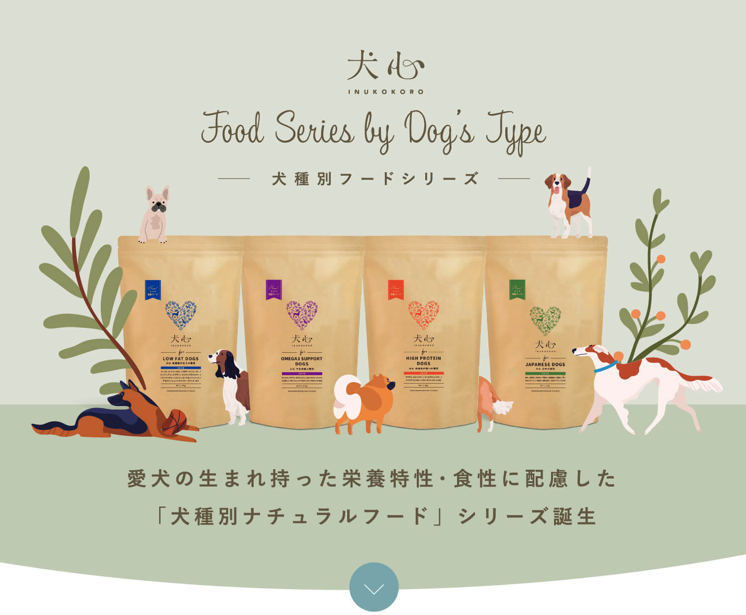 犬心～犬種別フードシリーズ - 犬心～INUKOKORO～