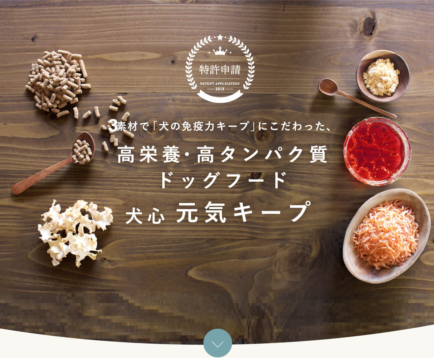 犬心～元気キープ～ - 犬心～INUKOKORO～