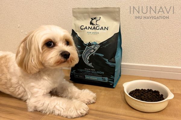 CANAGAN カナガン ドッグフード 2kg✖️2袋 チキン味 CANAGAN カナガン