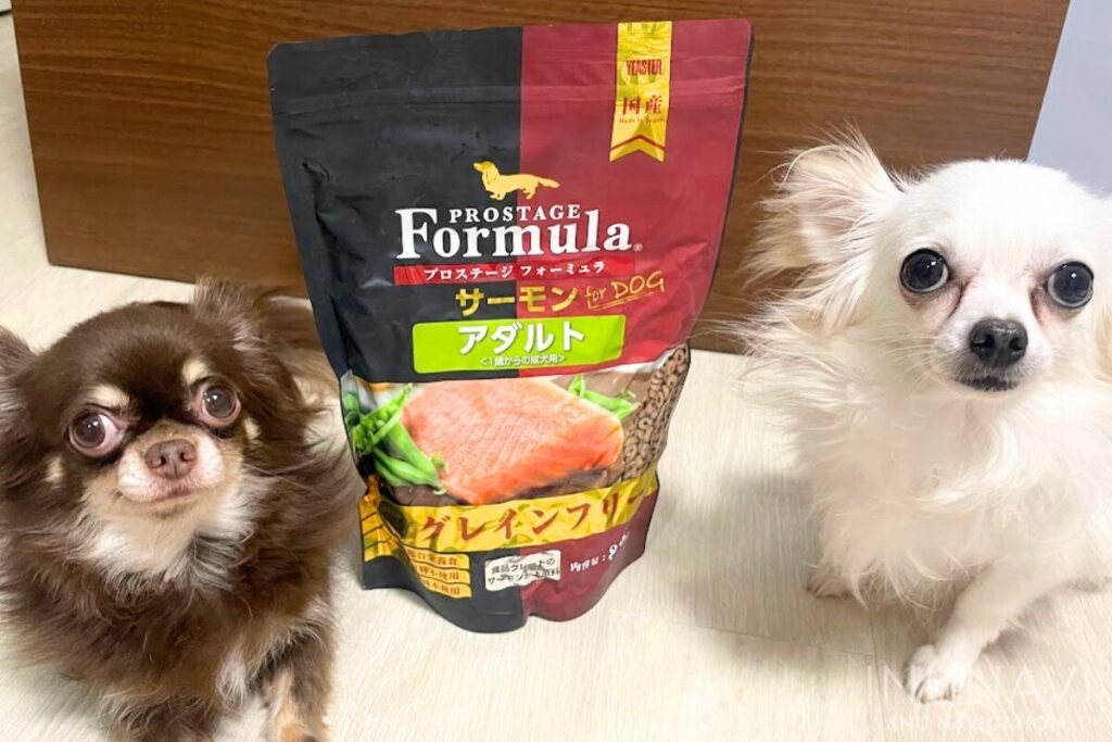 ELMO ドッグフード サーモン・ライスライト（成犬用 1歳〜）3kg×3個