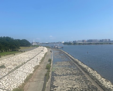 うみうみ様確認用 うみうみ様確認用 みゅうページ ミユ 様 Amazon.co