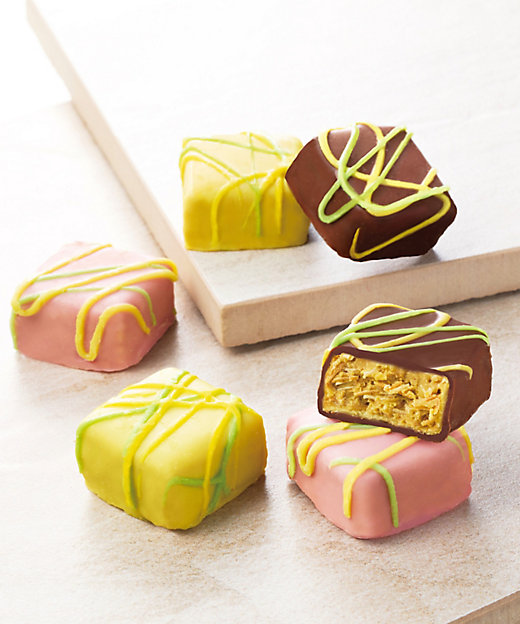 フランス産 アシナガコガネセット1 フランス産 アシナガコガネセット1