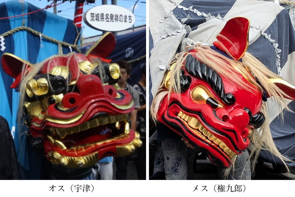 獅子舞 獅子頭 雌獅子 【公式通販】