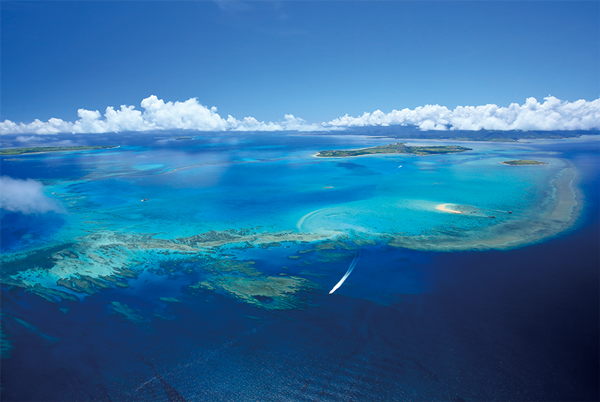琉球列島採集観察地ガイド・シン・八重山諸島採集観察地ガイド。2冊