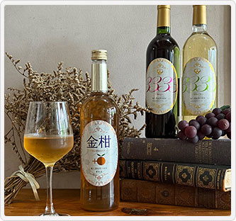 JALとっておきの逸品｜〔朝陽ワイナリー〕ブレンドワイン6本セット