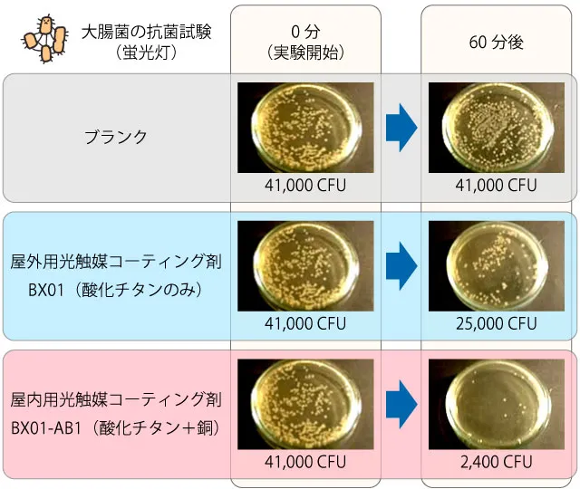 光触媒コーティング剤の大腸菌抗菌試験｜光触媒の株式会社イリス