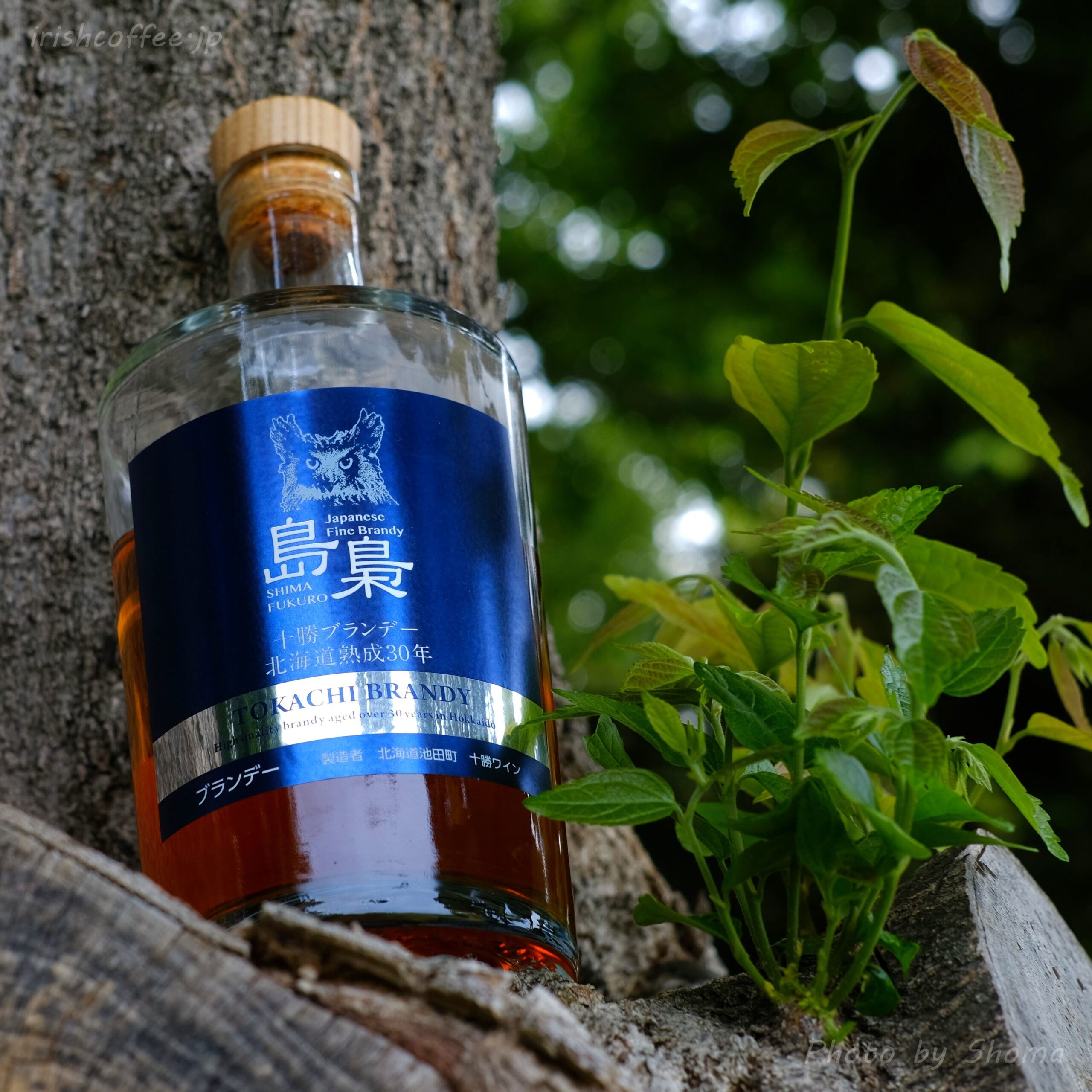 十勝ブランデー「島梟」のすゝめ IRISH COFFEE 〈 アイリッシュコーヒー 〉