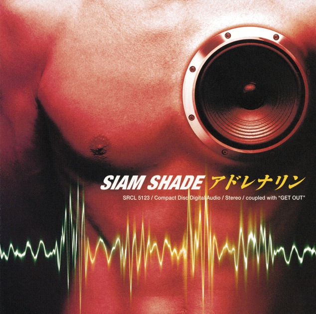 SIAM SHADE DVD 4枚セット SIAM SHADE CD+DVD 4枚セット