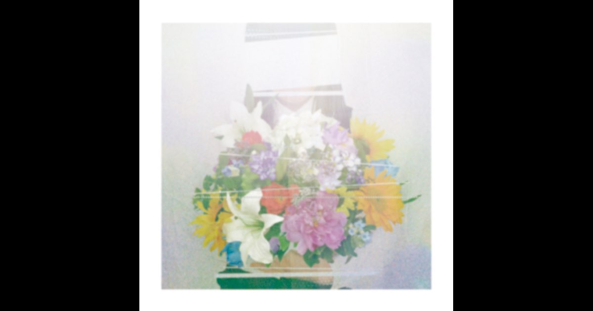 ヨルシカ夏草が邪魔をするラバーバンドラババン初期