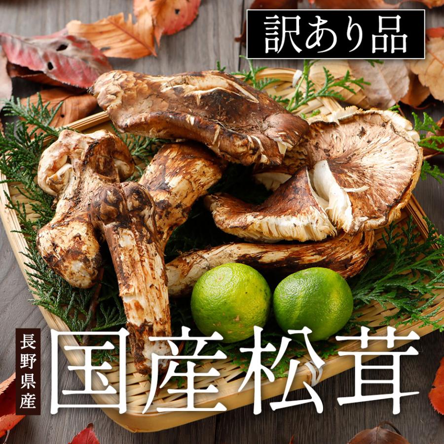 北海道松茸500g 訳あり