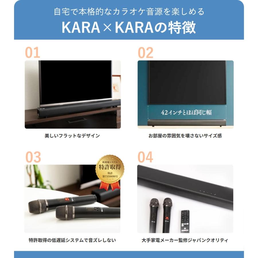 共同テレビジョン KARAxKARA（カラカラ）カラオケサウンドバー 家庭用