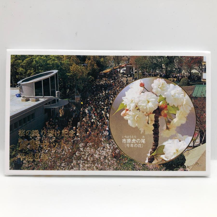 桜の通り抜け 平成9年 貨幣セット 市原虎の尾（1997年） 純銀 メダル