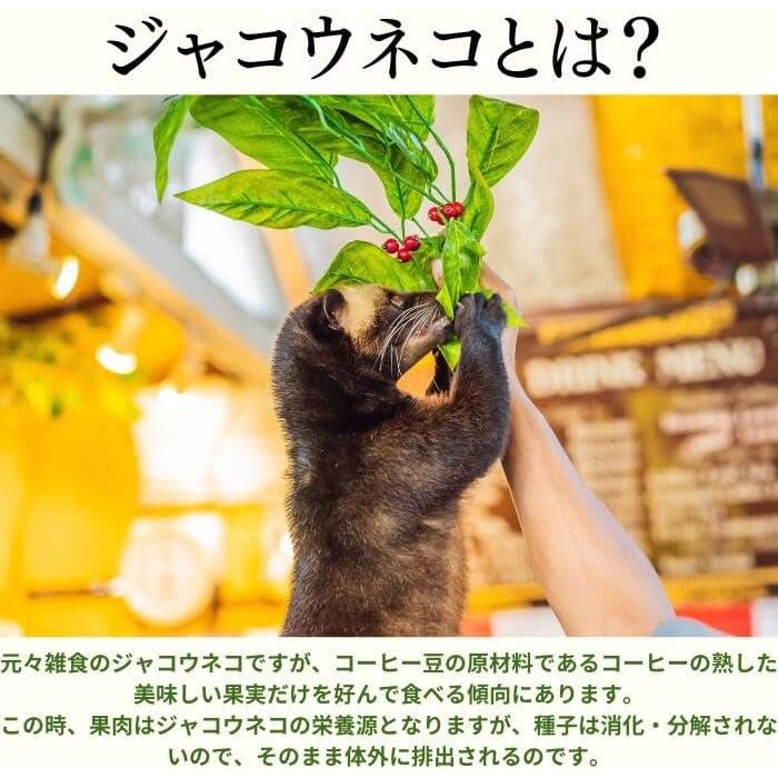 イタチコーヒー Weasel Coffee ドリップコーヒー 39g 3パック入り (13g