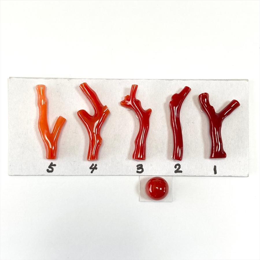 珊瑚 裸石 ルース 血赤珊瑚 9.6mm玉 貫通 高知県産 日本産 天然