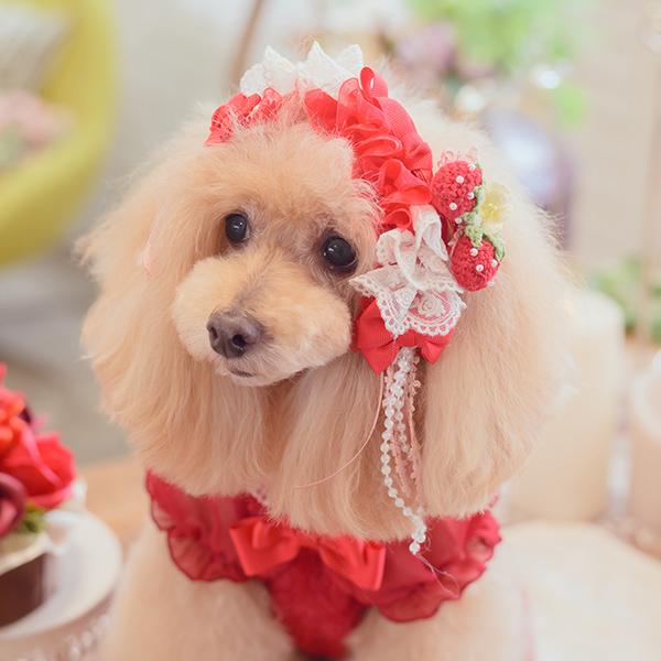 CanNana 犬 ヘッドドレス アクセサリー リボン アクセ 秋冬 ギフト