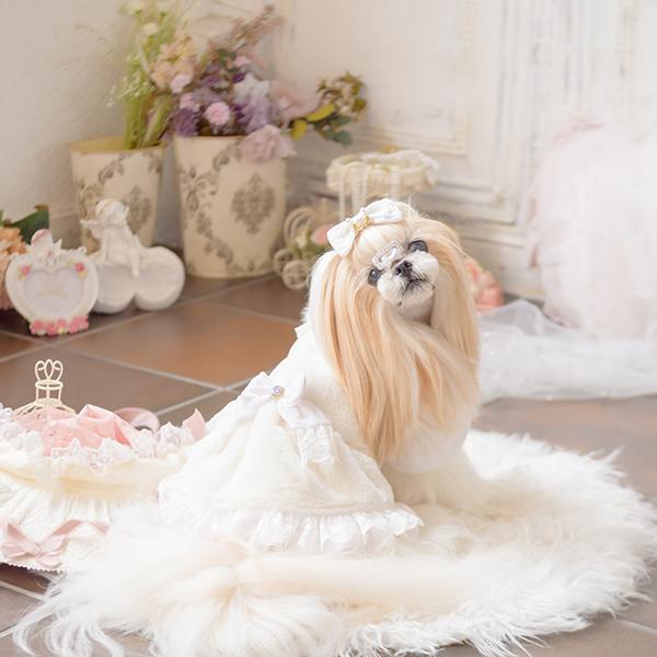 CanNana きゃんナナ 犬 服 犬服 犬の服 おしゃれ ブランド シーズー