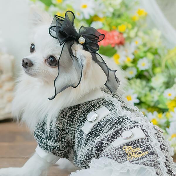 CanNana 犬 アクセサリー リボン バレッタ プレゼント ギフト きゃん