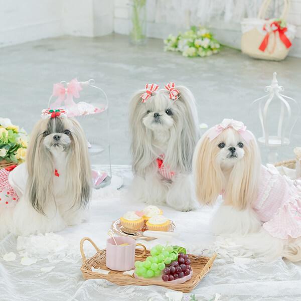 CanNana 犬 服 犬の服 春夏 さくらんぼギンガムワンピース レース