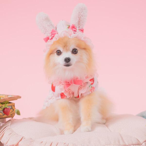 CanNana 犬 犬服 服 秋冬 ドックウェア ワンピース かわいいフリフリ